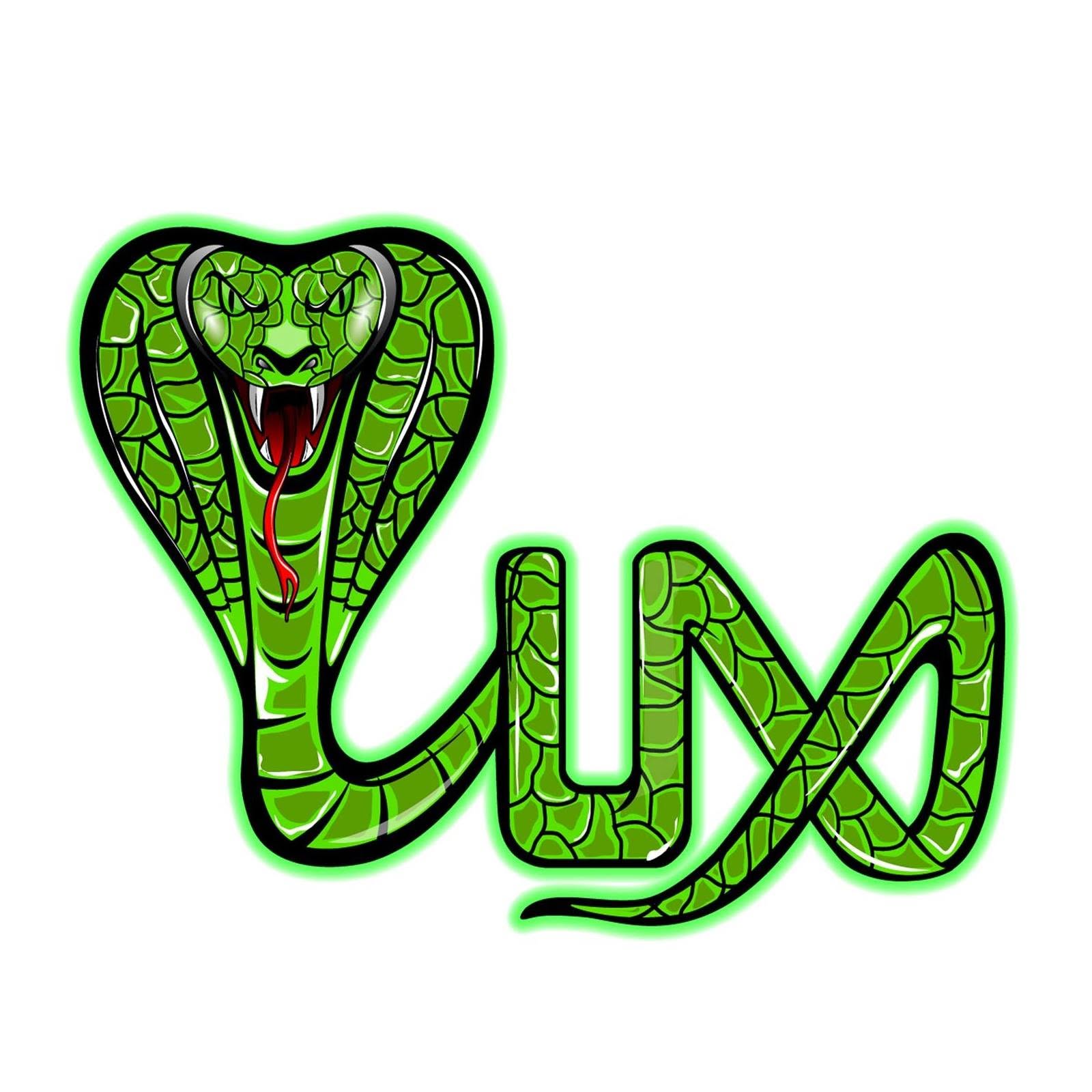 Luxsports promo codes and discount vouchers logo