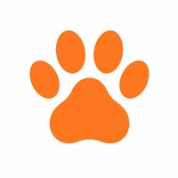 Pawtique promo codes and discount vouchers logo
