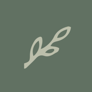 Biankina promo codes and discount vouchers logo