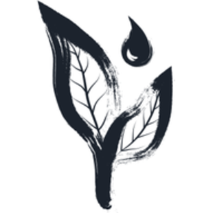 Borntea promo codes and discount vouchers logo