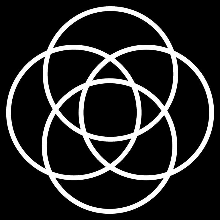 Synergeefitness Ca promo codes and discount vouchers logo