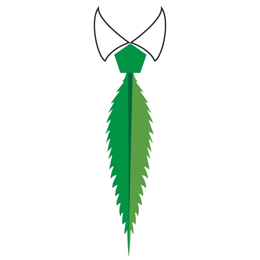 Discreet Smoker promo codes and discount vouchers logo