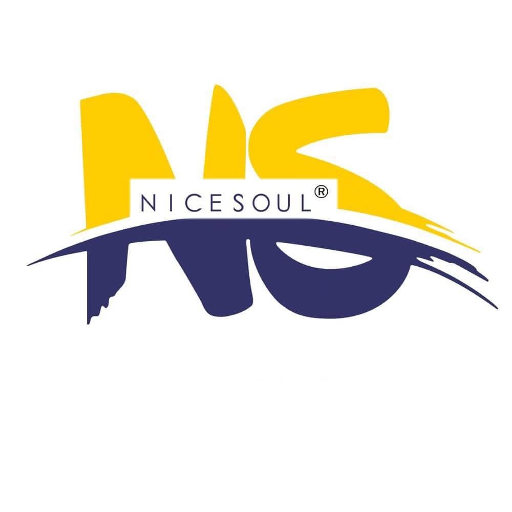 Nicesoul Furniture promo codes and discount vouchers logo