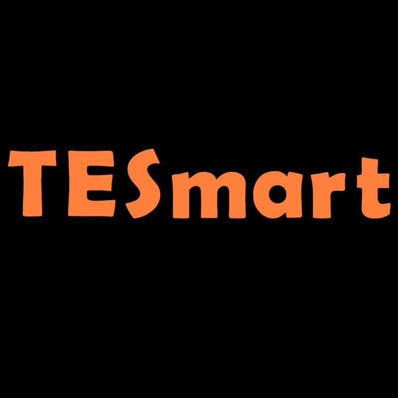 Tesmart De promo codes and discount vouchers logo